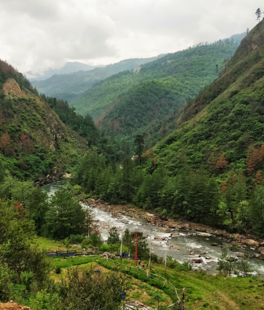 Image of a valley from Bhutan road trip. 