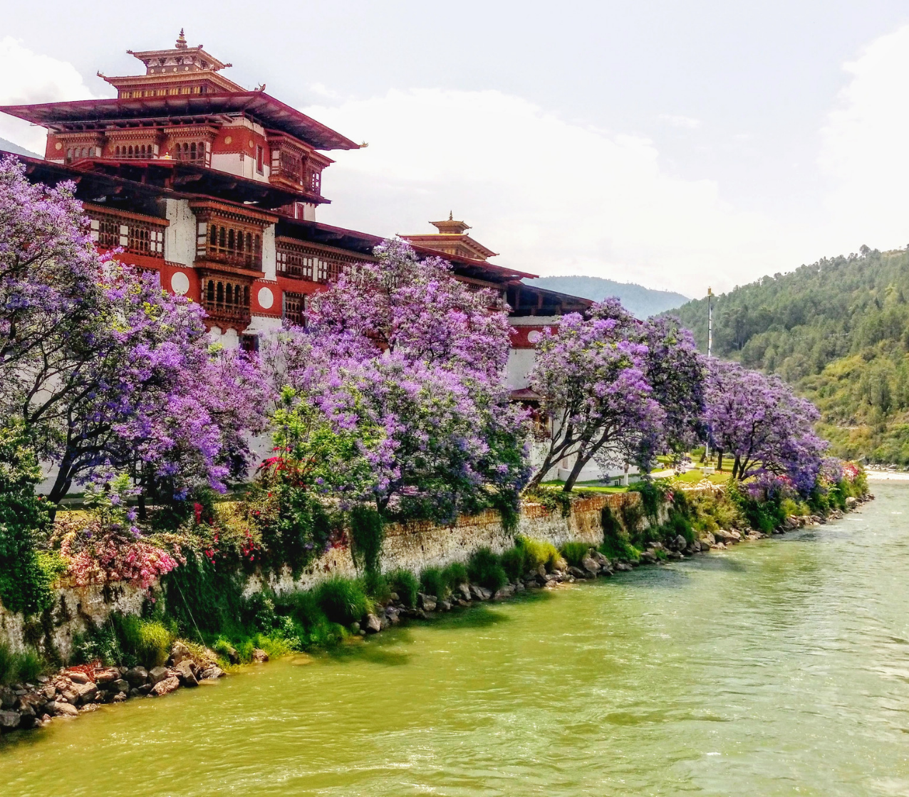 Image of Punakha dzong from Bhutan road trip