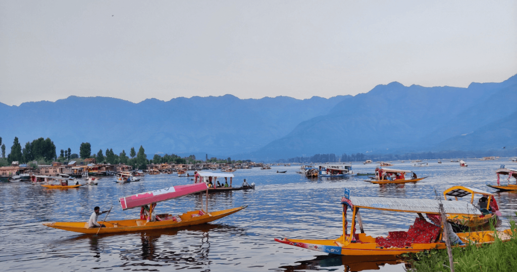 Visit the Dal lake during your Spiti valley, Leh and Kashmir guide.