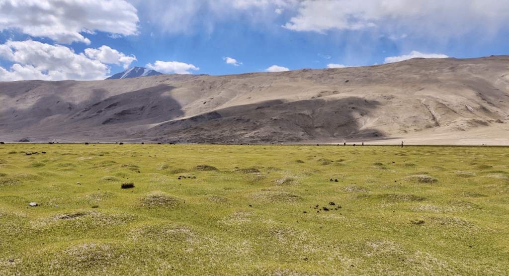 Ladakh travel guide - Puga valley