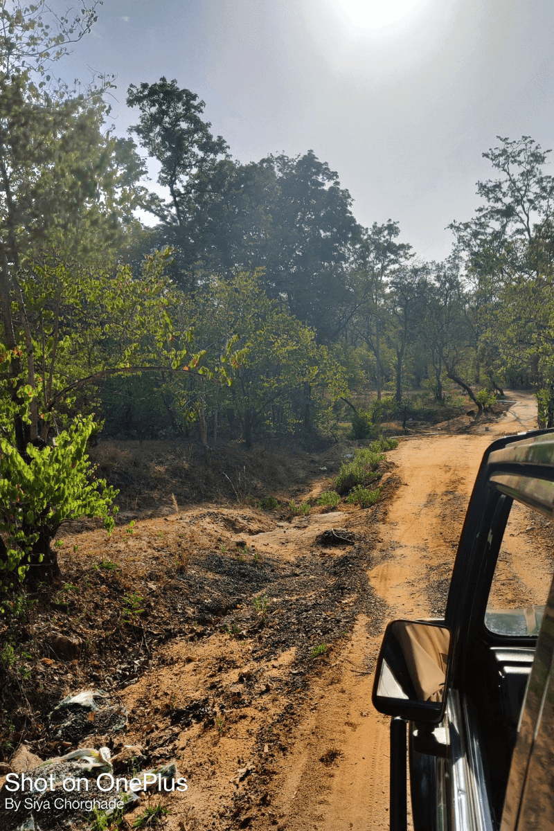 PENCH NATIONAL PARK TRAVEL GUIDE