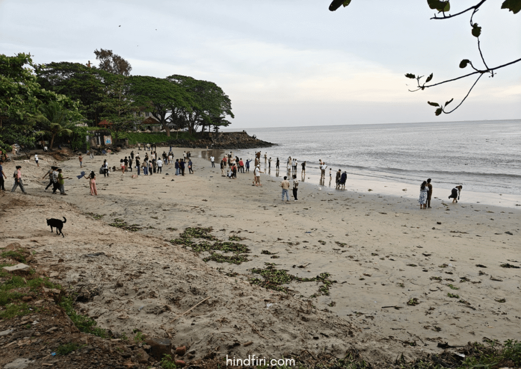Fort Kochi Beach is one of the 12 must-visit places in Fort Kochi.