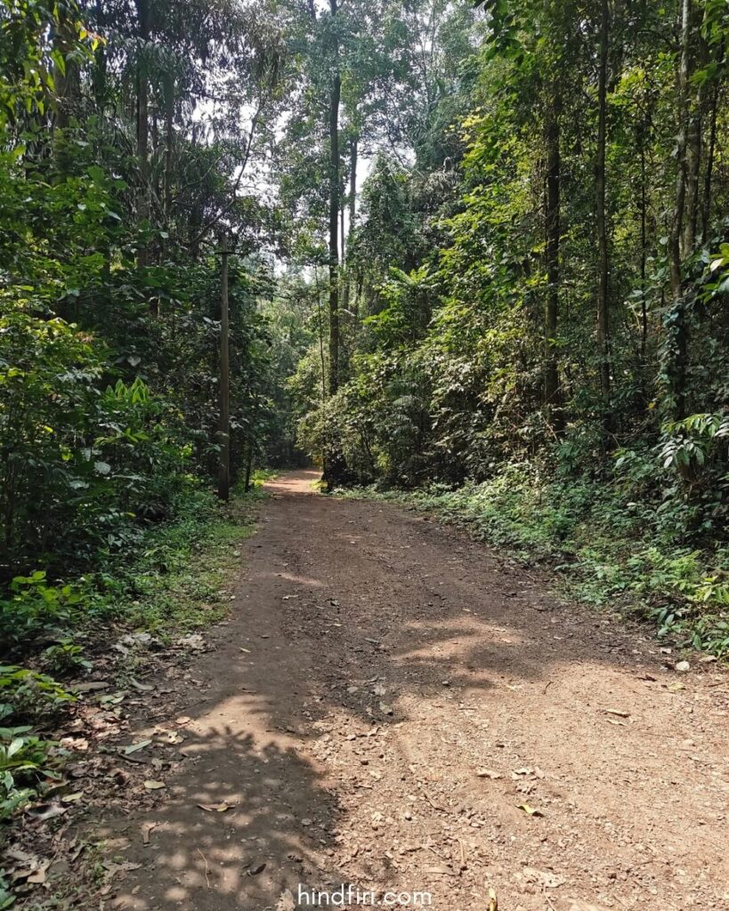 The trail to the Yana Caves