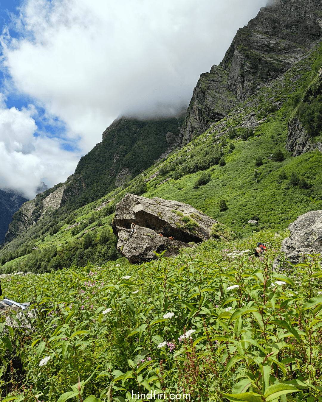 VALLEY OF FLOWERS AND HEMKUND SAHIB : A FIRST TIMER’S GUIDE